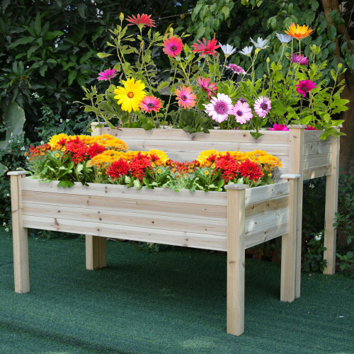 Outdoor/Indoor Elevated Backyard Plant Box w/ 2 Compartments & Solid Wood Design