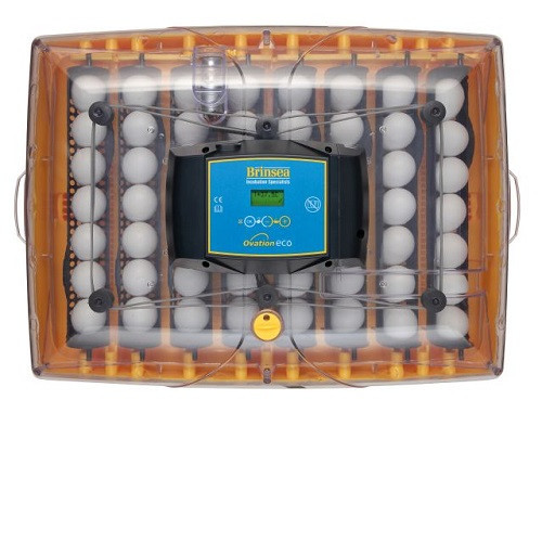 Brinsea Ovation 56 Eco digital egg incubator