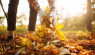 3 Ways To Use Fall Leaves to Feed Your Soil