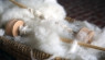 The Benefits of Wool: An Old-Fashioned Favorite