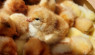 How to Order Baby Chicks: From Hatchery to Home