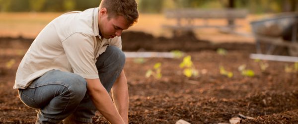 New Regenerative Farm Certification In The Works