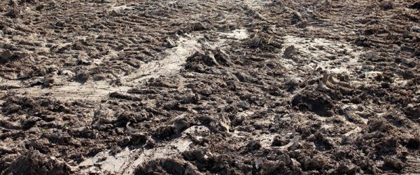 Mud Solutions For Soggy Season On The Farm