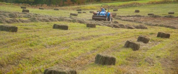 Should You Drop Small Square Bales In The Field As You Bale?